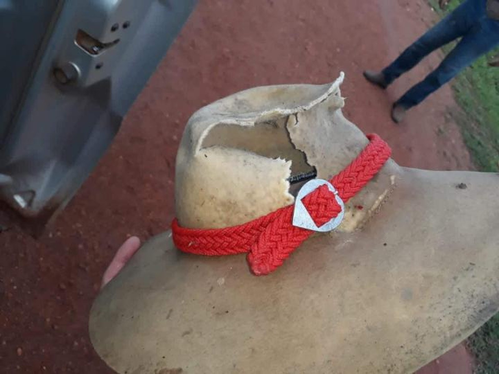 Funcionário e jegue morrem atingidos por raio durante chuva em fazenda em MT