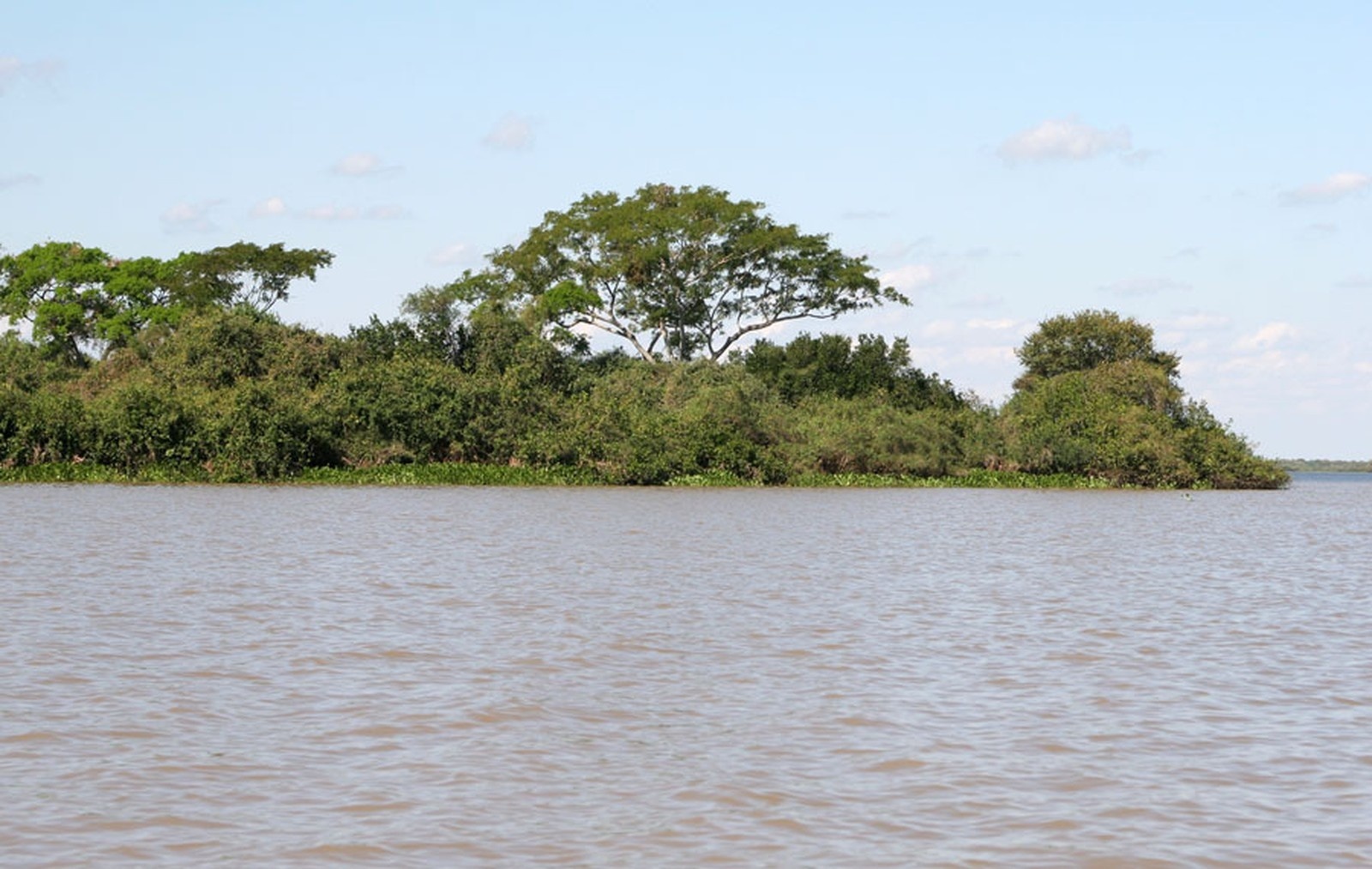 “Grileiros” são indiciados por ocuparem área no Pantanal e venderem por R$ 300