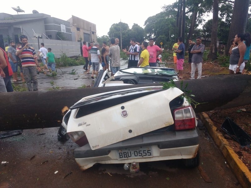 Veículo é esmagado por árvore durante temporal em Sorriso