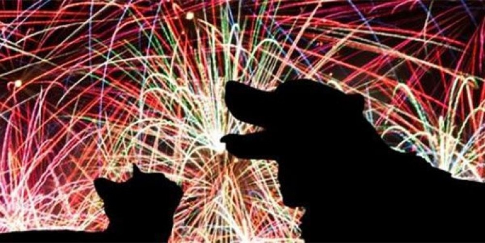 Queima de fogos em Cuiabá vai durar 15 minutos e será silenciosa em respeito aos animais