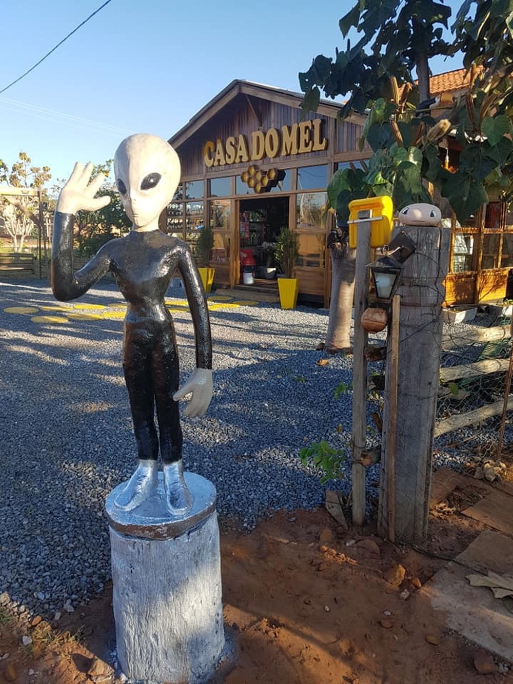 'ET' é furtado de ponto turístico no réveillon em Chapada dos Guimarães (MT) e dona de loja oferece recompensa