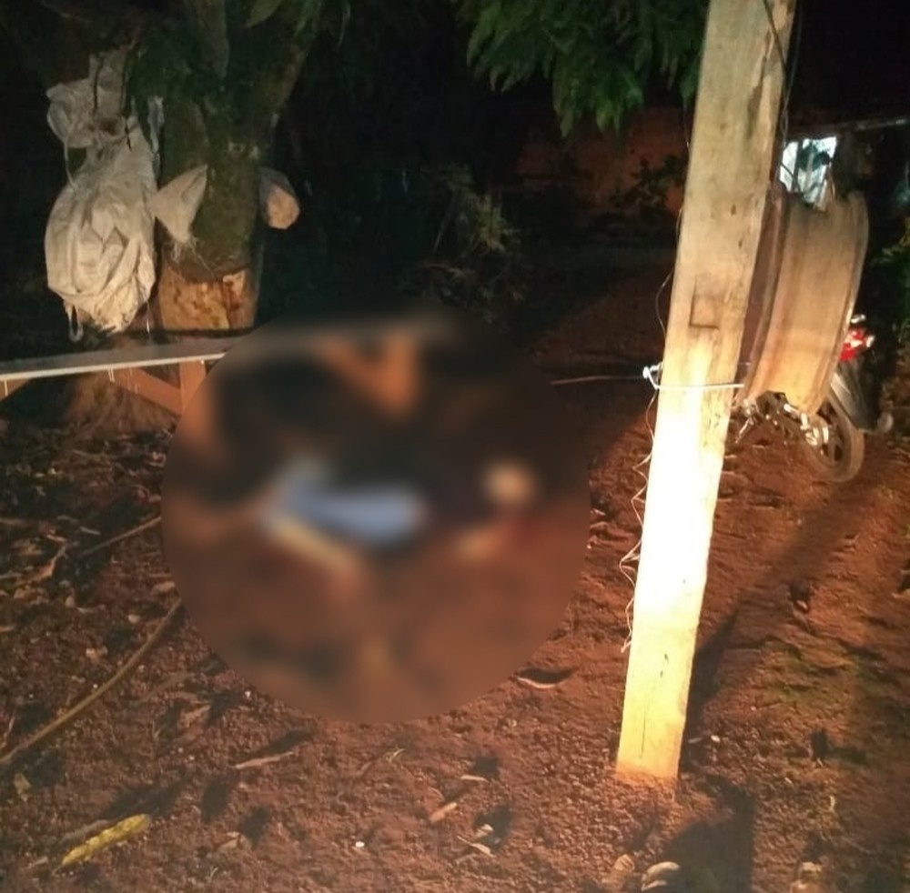 Filho encontra mãe de 66 anos morta com golpes de faca no quintal de casa em MT