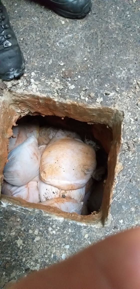 Túnel que seria usado para fuga de presos é descoberto em Sinop