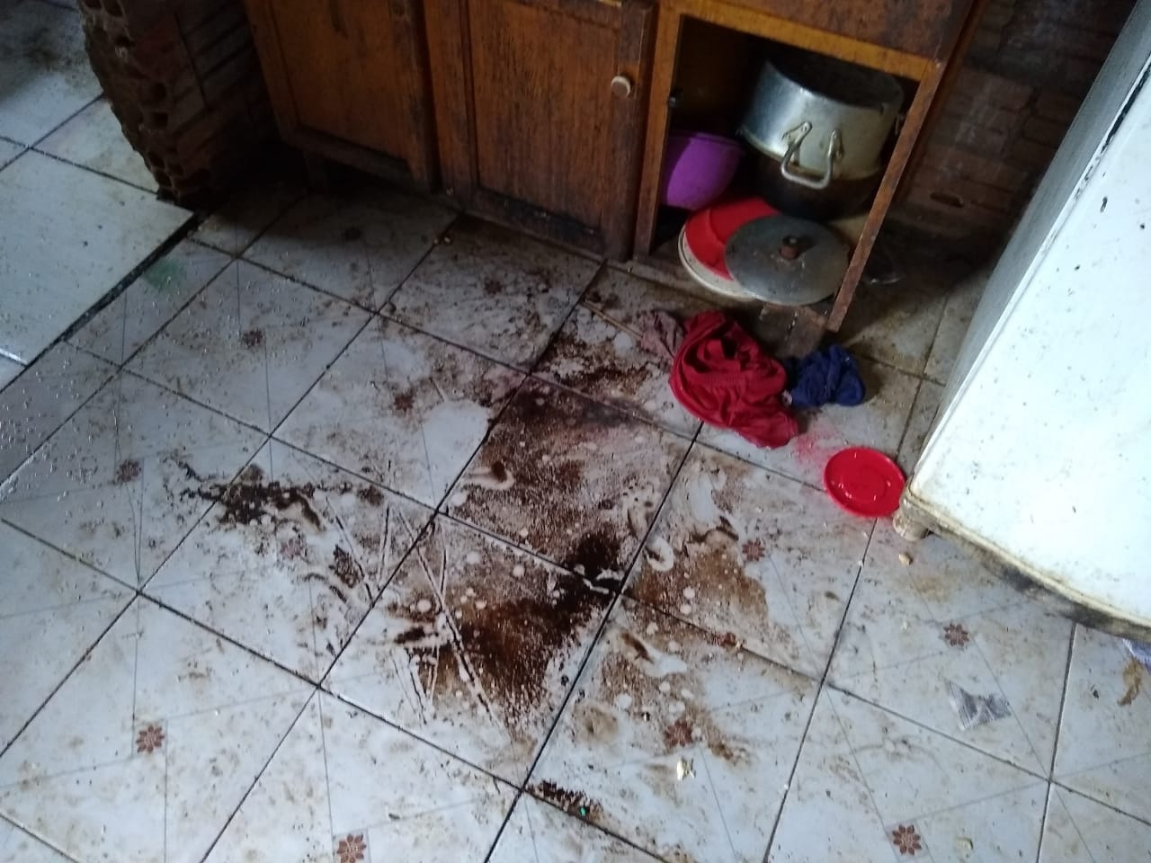 Sinop: Seis crianças abandonadas pela mãe são resgatadas pela PM; veja fotos