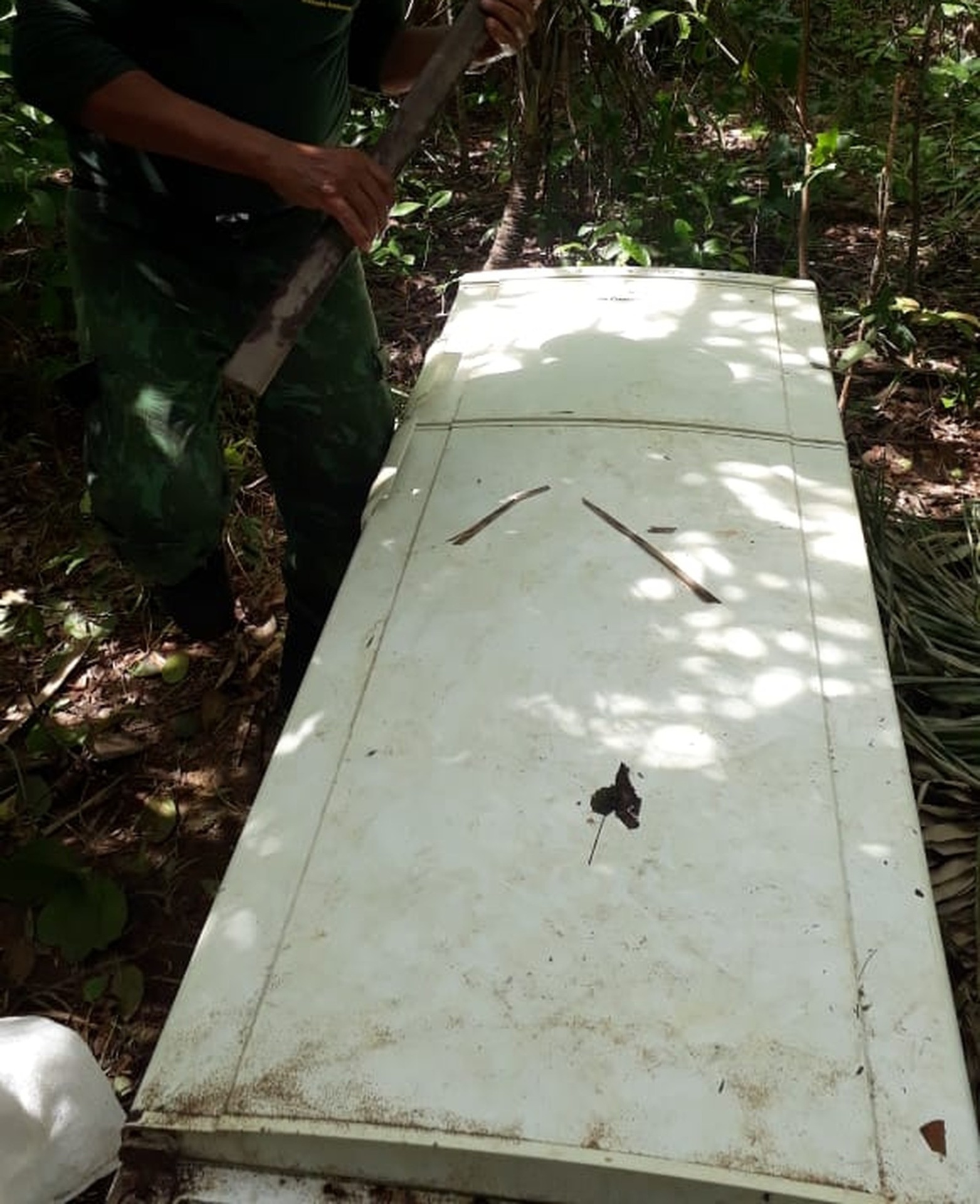 Geladeira com mais de 200 kg de pescado irregular é encontrada perto de rio em MT