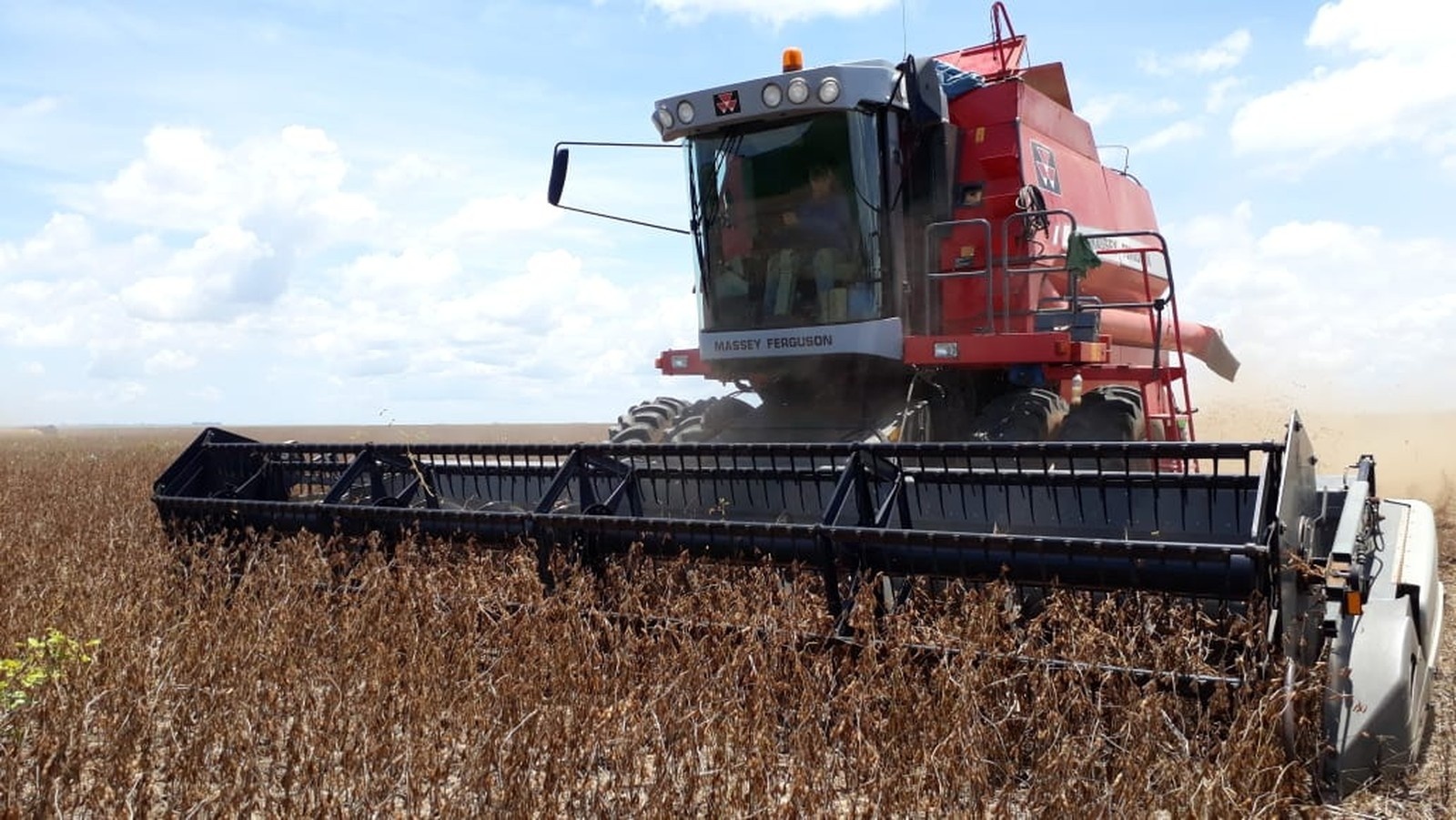 MT deve produzir 31 milhões de toneladas de soja na safra 2019, segundo IBGE