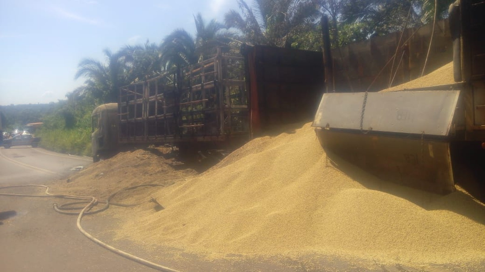 Carreta carregada com soja pega fogo em MT