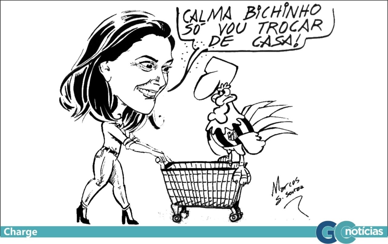 Briga de galo