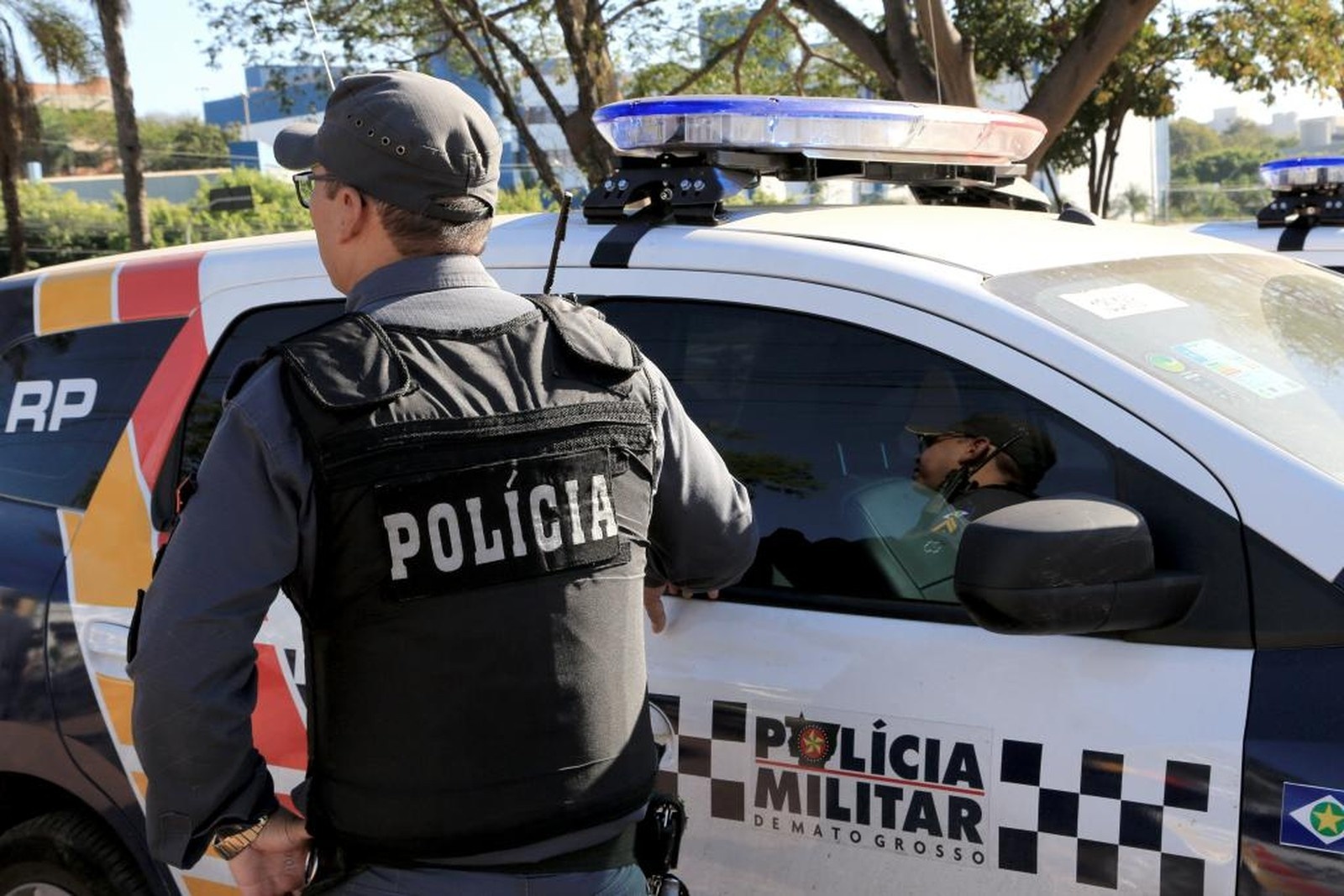Homem tenta subornar policiais com vaca de 180 kg em MT