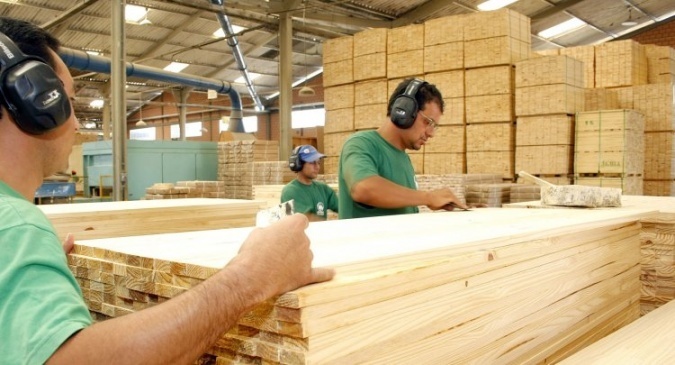 Sistema do Ibama fica fora do ar e trava setor madeireiro