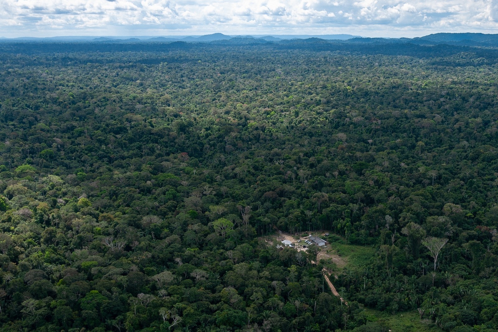 Funai deve providenciar segurança para tribo que vive isolada em MT