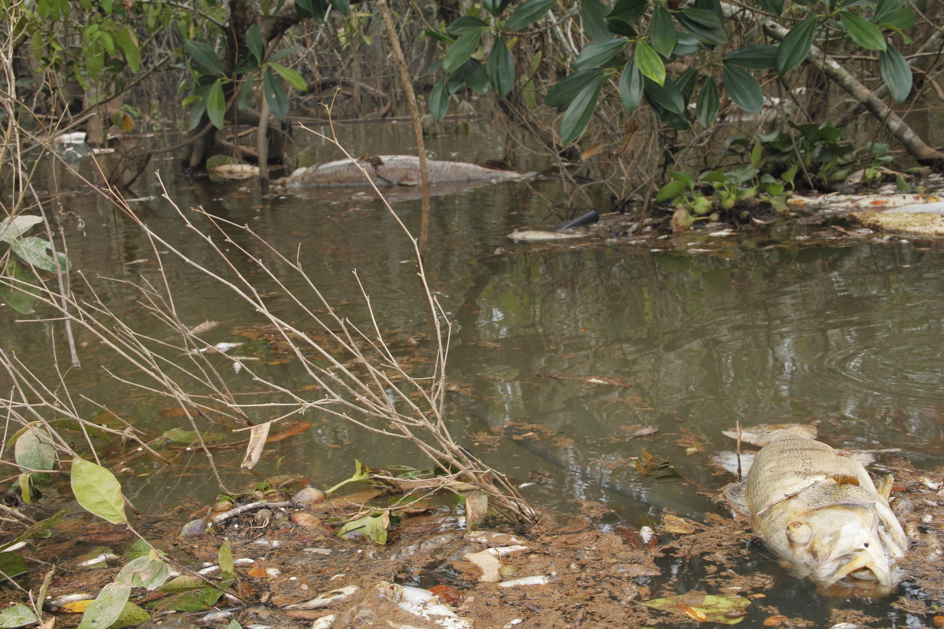 28 quilômetros de morte