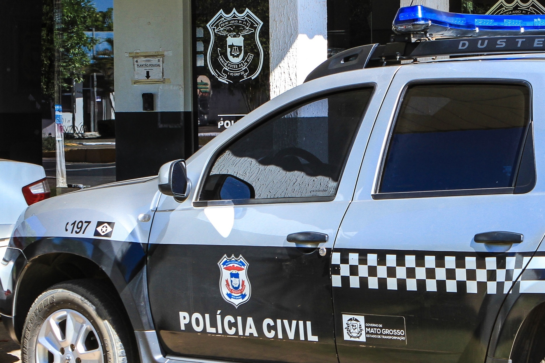 Morador invade casa e corta árvore da vizinha sem autorização