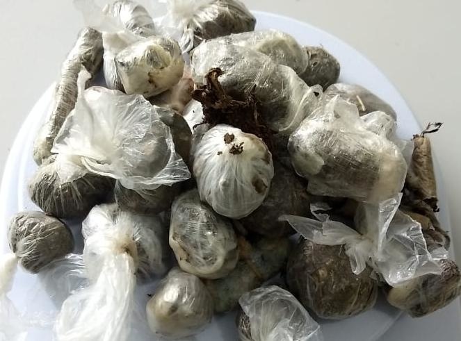 Operação em presídio de Sinop resulta em apreensão de drogas e objetos