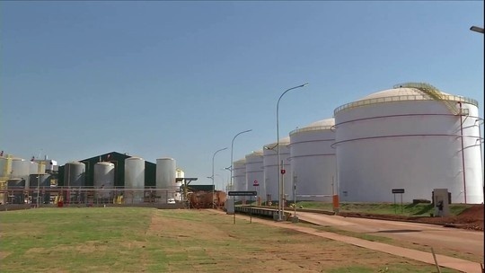 Polícia investiga funcionários que furtavam soja da empresa