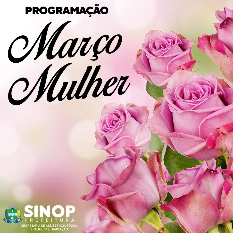 Homenagens e programação festiva marcarão mês da mulher em Sinop