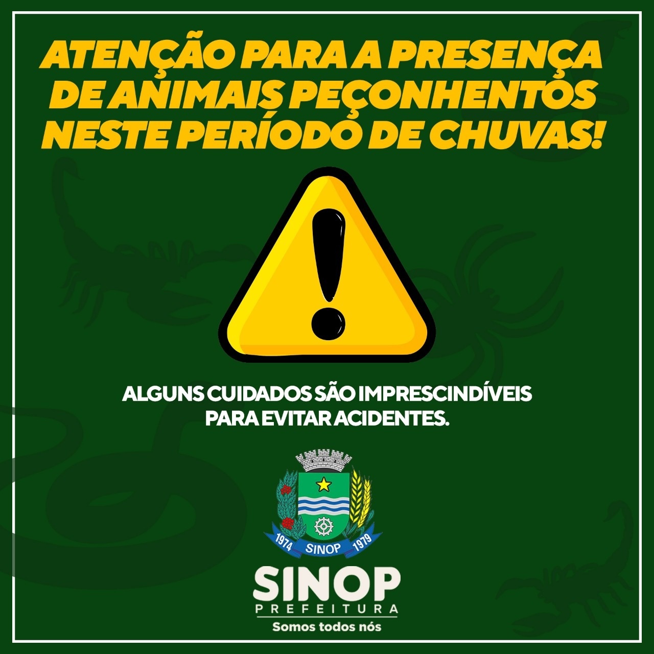 Saúde alerta população para a falta de soro antiofídico