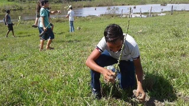 Meio Ambiente executa recuperação de áreas degradadas em assentamento