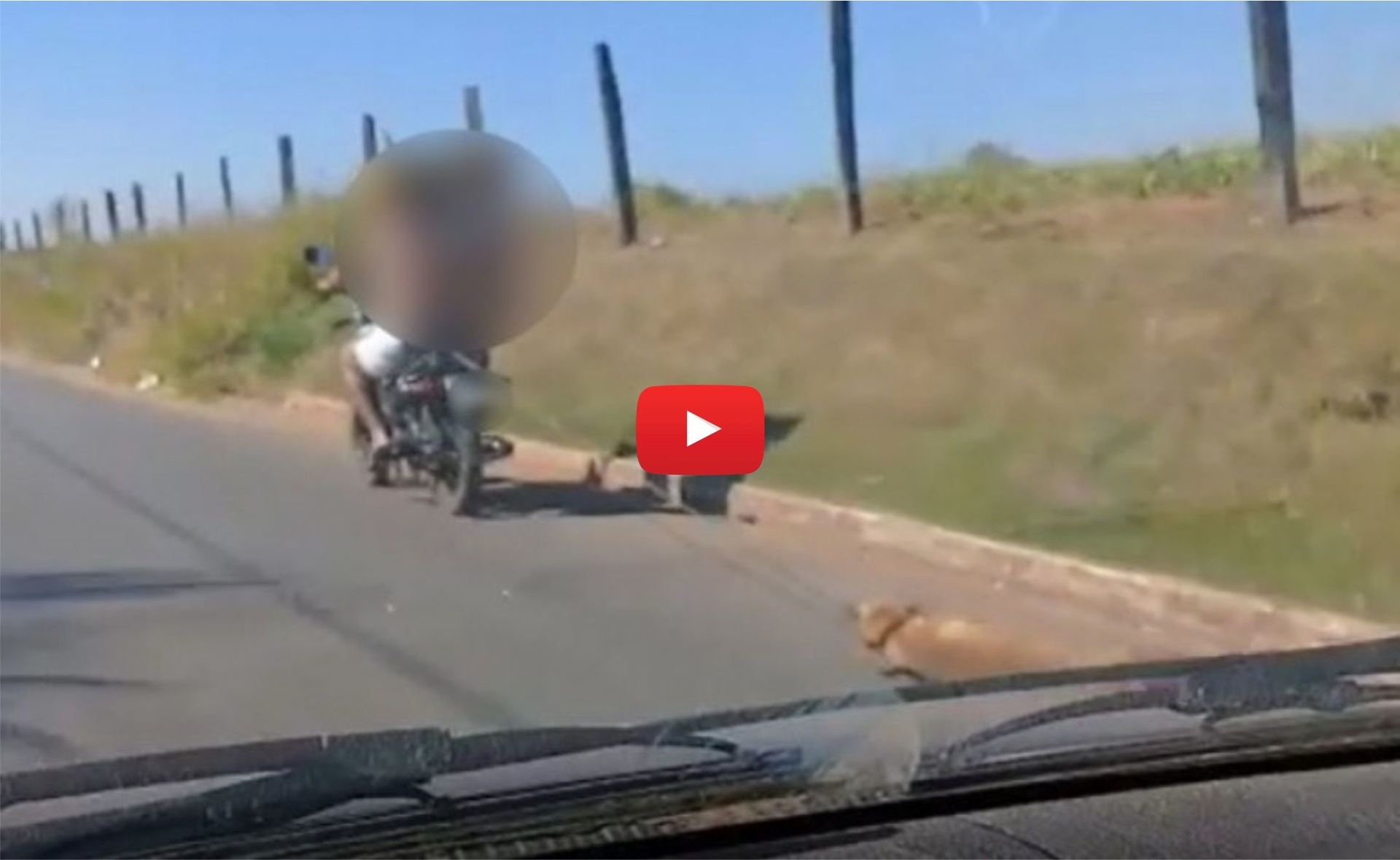 Homem flagrado arrastando cachorro prestou depoimento em Sorriso