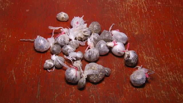 Drogas são localizadas no ‘Ferrugem’