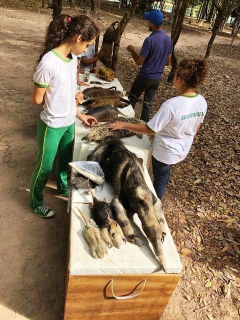 Museu itinerante e atividades recreativas animam crianças das escolas de Sinop