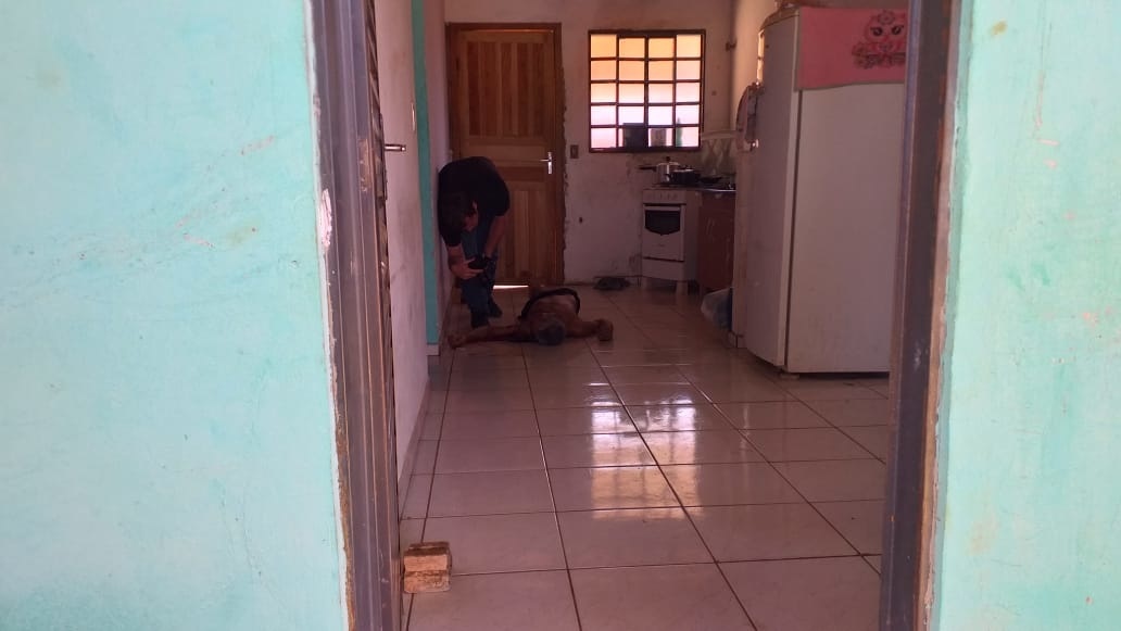 Homem é morto a facadas; filho é o principal suspeito