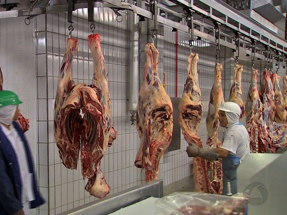 MT exportou 141 mil toneladas de carne bovina nos seis primeiros meses do ano