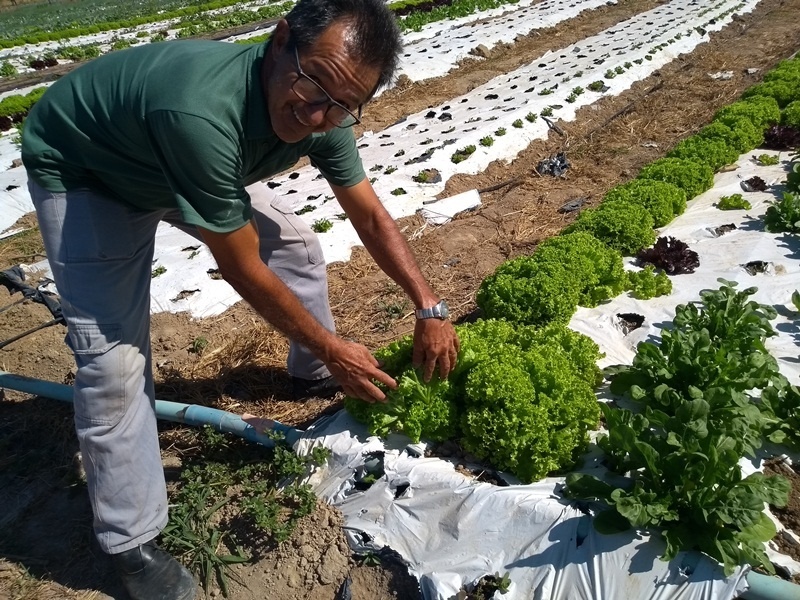 Prefeitura oferece assistência agronômica e veterinária gratuitamente