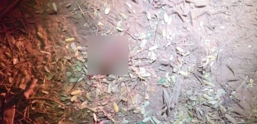 Mulher arranca pedaço da língua de homem durante tentativa de estupro em MT