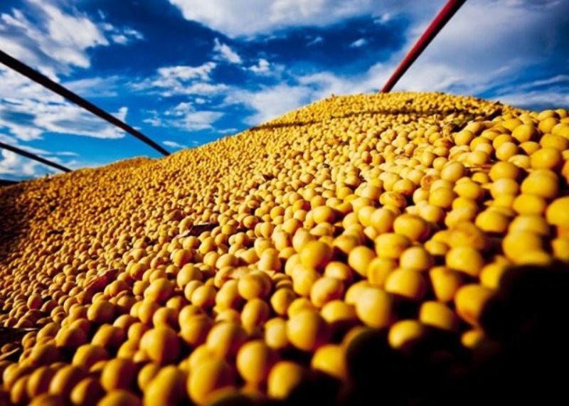 Mato Grosso segue como maior produtor de grãos do país