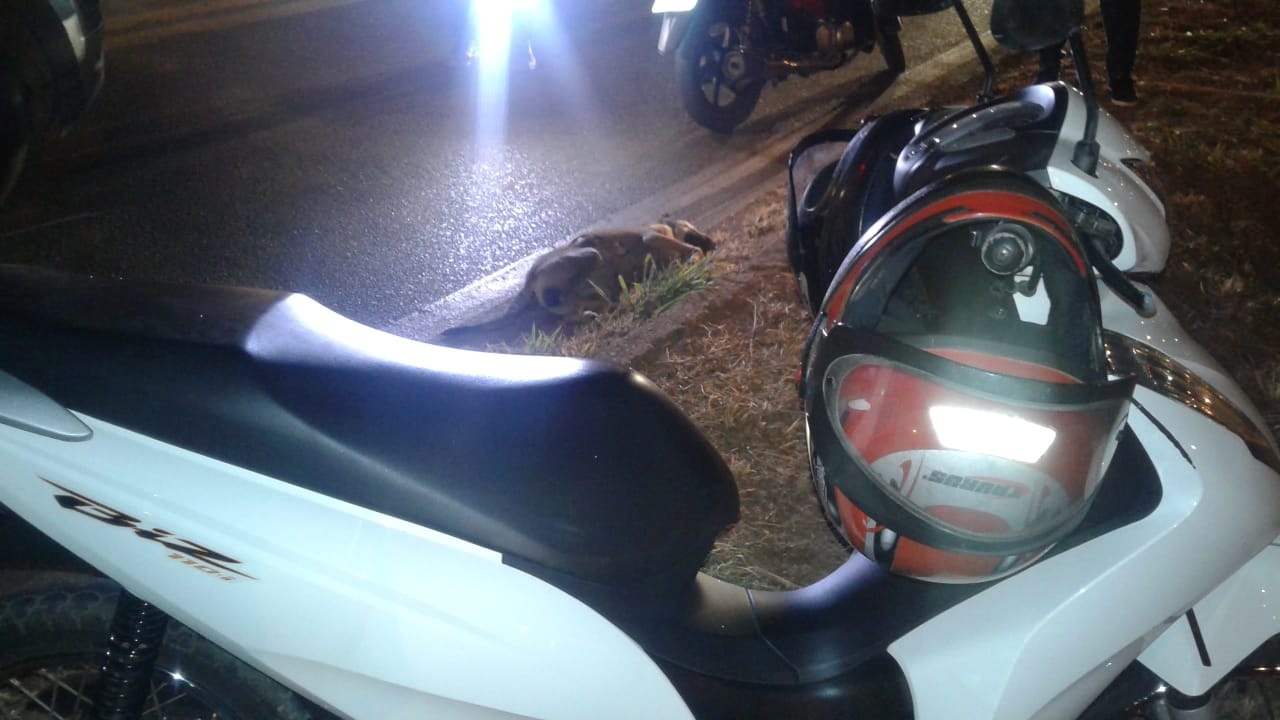 Cachorro atravessa a rua, provoca acidente e mãe e filha ficam feridas após queda de moto