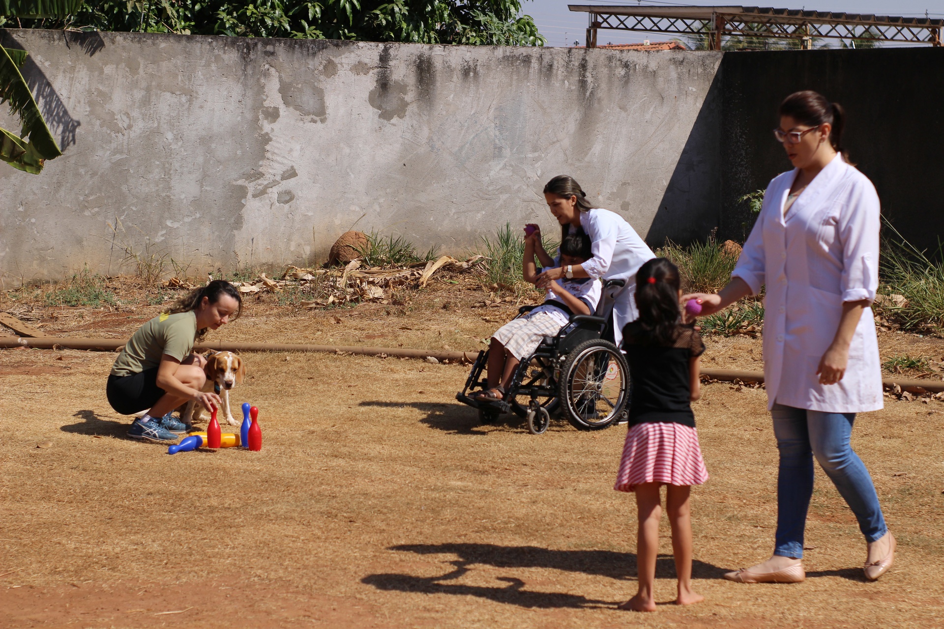 Projeto utiliza cães na reabilitação de crianças com autismo e paralisia cerebral
