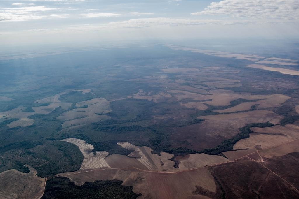 Estudo mostra que MT foi Estado da Amazônia Legal com menor desmatamento