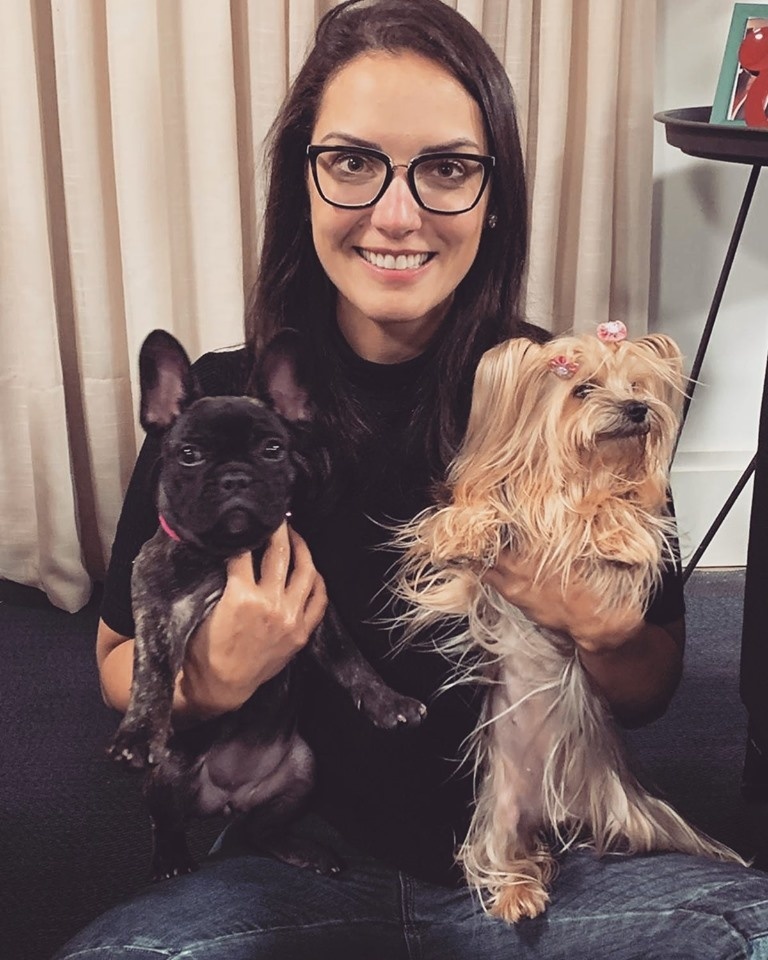 Projeto de lei cria Fundo Estadual de Proteção dos Animais