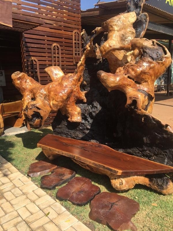 Artesão transforma árvores descartadas em peças de luxo