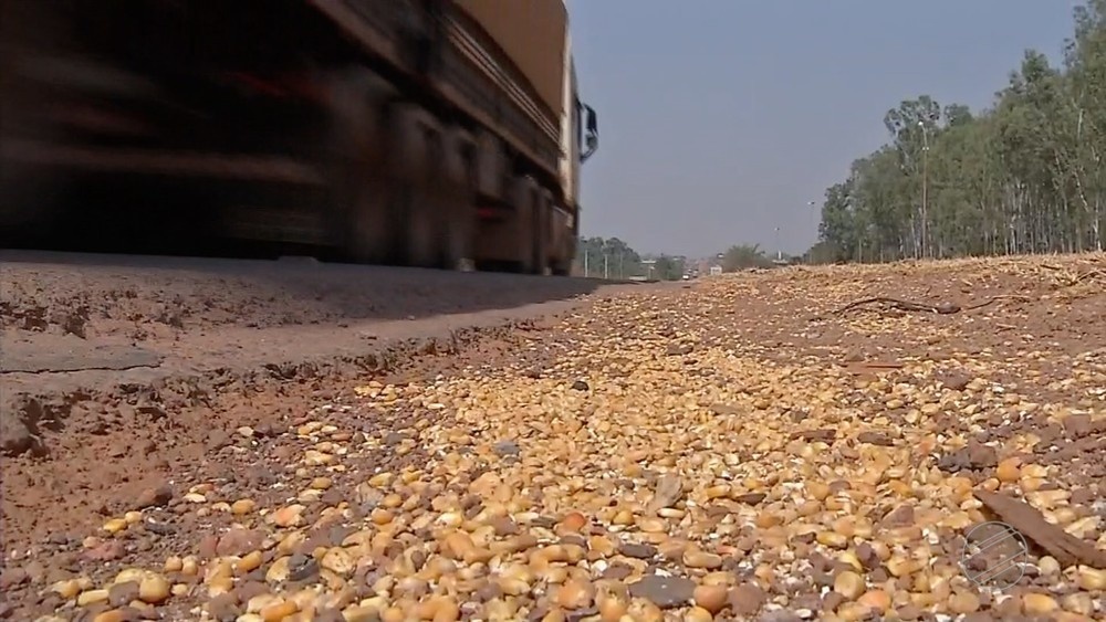 Mais de 700 sacas de grãos caem de carretas durante o transporte, diz produtor de Sinop