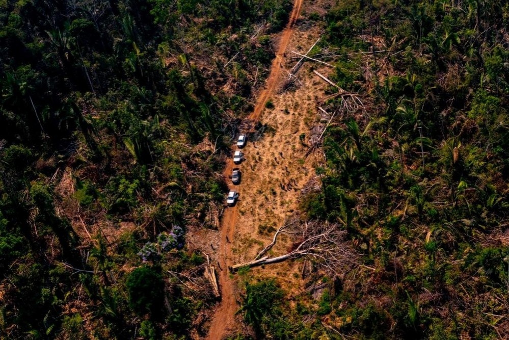 Fiscalização em MT embarga quase 11 mil hectares por desmatamento ilegal
