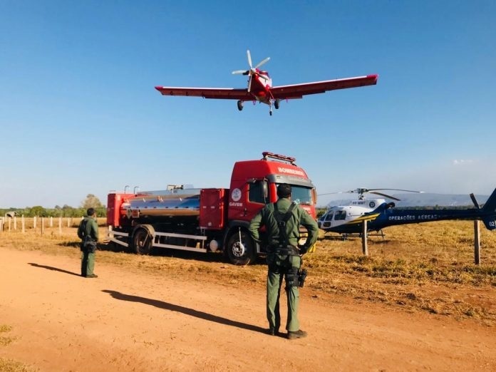 Operação Abafa Amazônia é deflagrada em Sinop