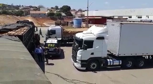 Em cerca de 48 horas PRF apreende nove cargas de madeira ilegal