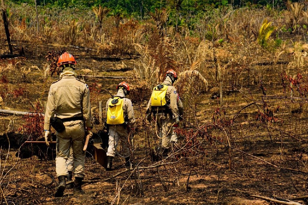 Maioria dos focos de calor em MT são em áreas privadas, assentamentos e terras indígenas