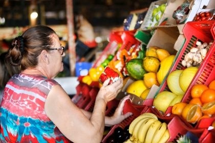 Projeto cria política de incentivo às feiras livres de produtos orgânicos