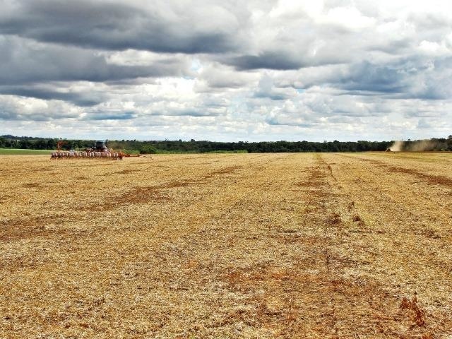 Empresa oferece área para construção do novo estádio