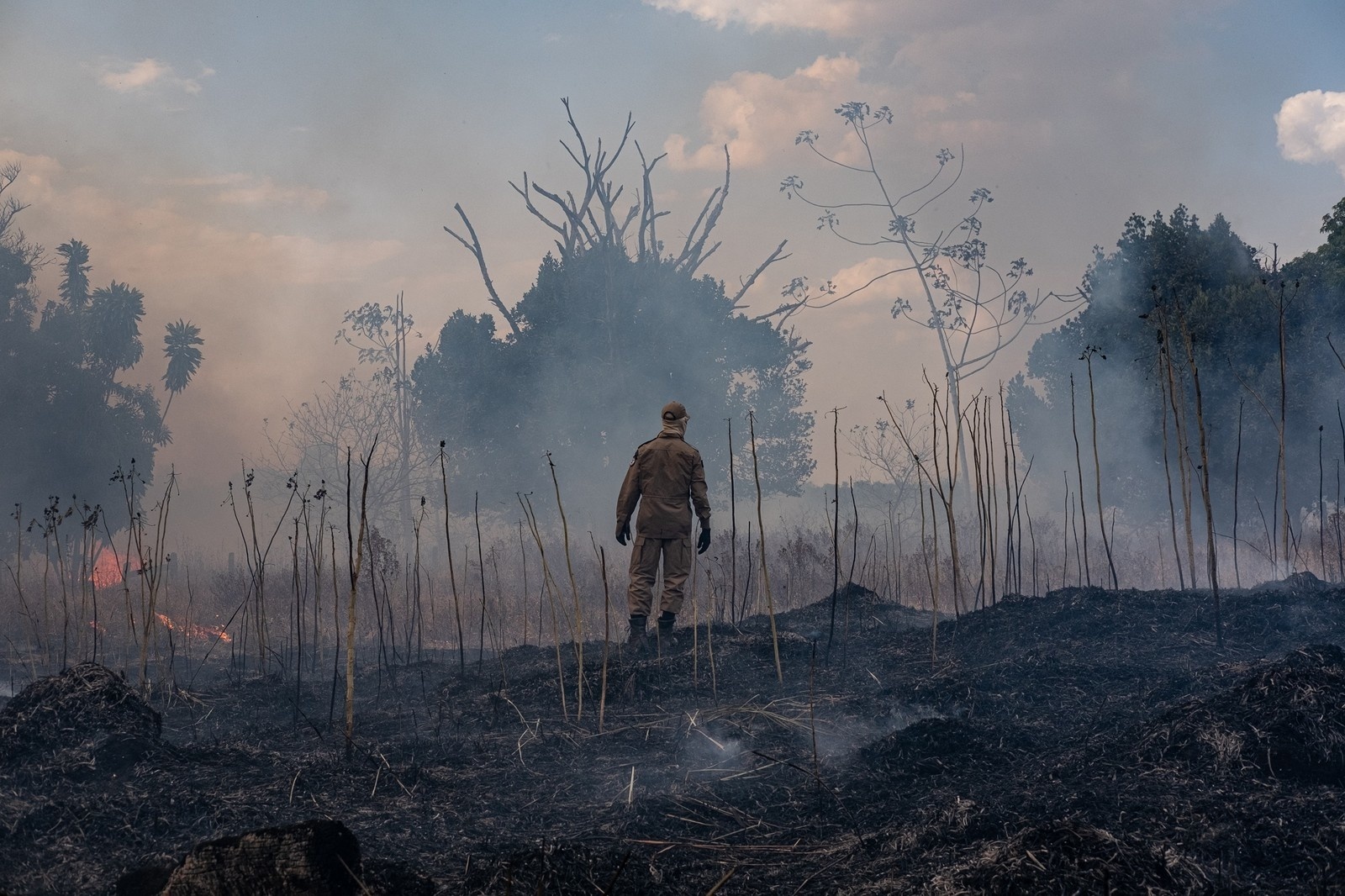 MT tem mais de 25 mil focos de calor neste ano e lidera ranking nacional