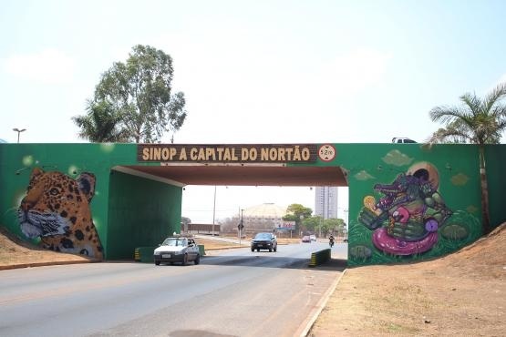 Artistas do Brasil e América Latina transformam viadutos de Sinop em museus sobre Amazônia, Cerrado e Pantanal