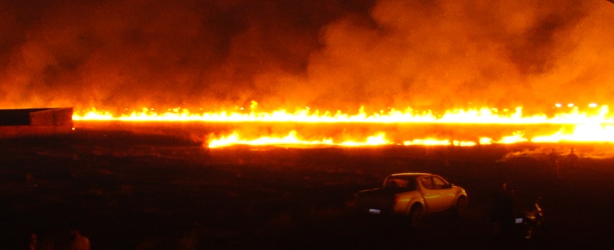 Incêndio possivelmente criminoso atinge matagal em Sinop