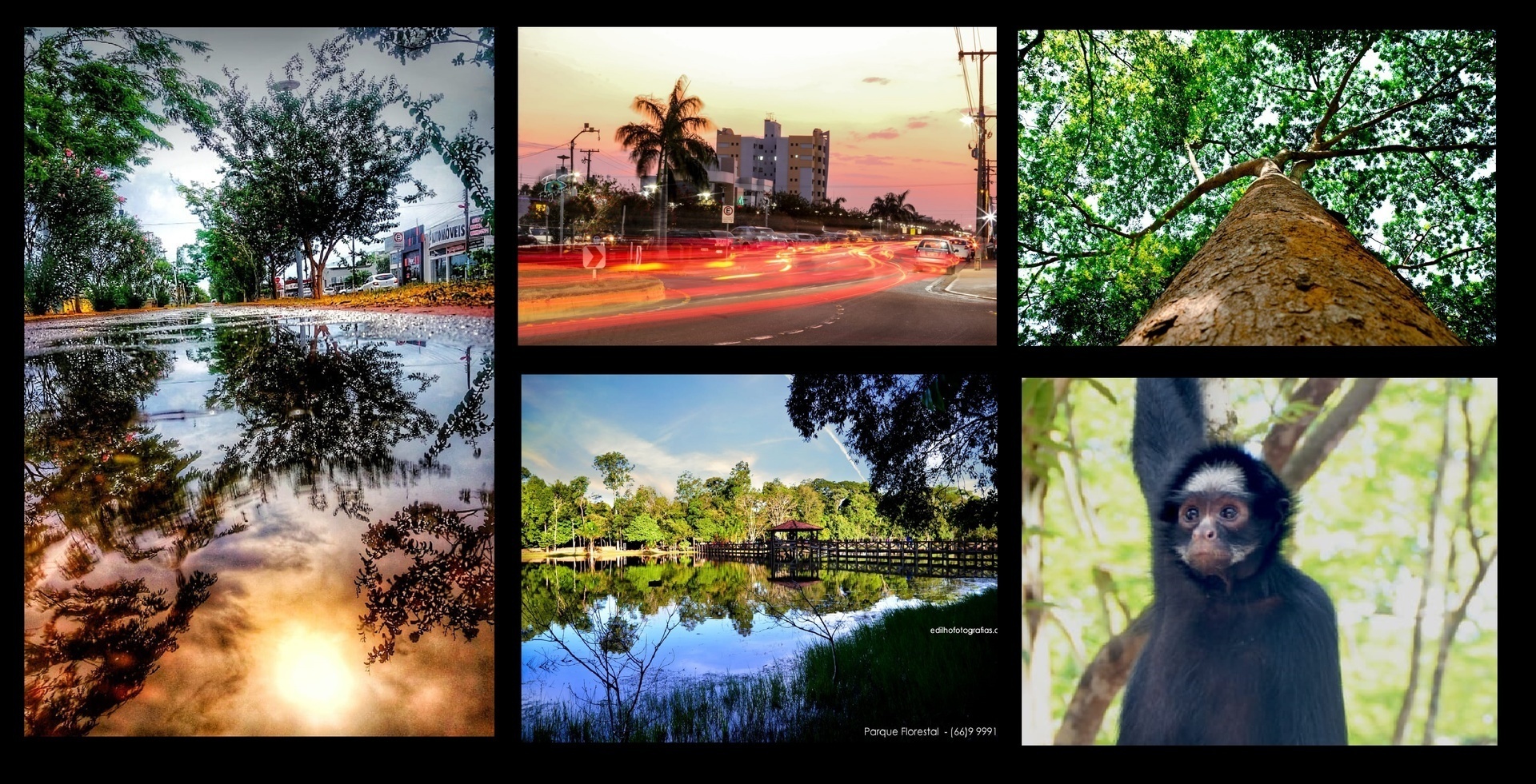 Exposição de fotografias vai mostrar Sinop Pelos Seus Olhos