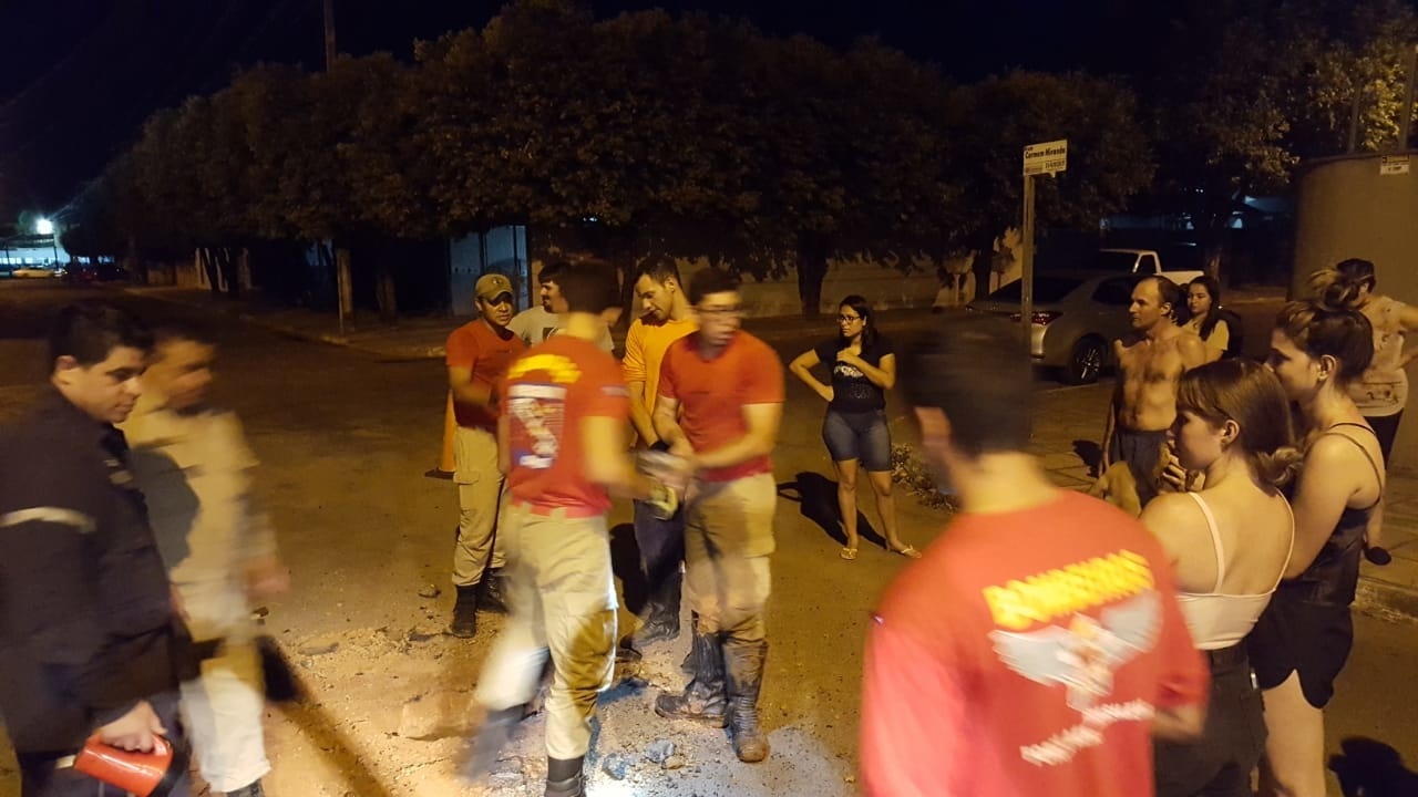 Bombeiros fazem buraco em rua para conseguir salvar filhotes de cachorro