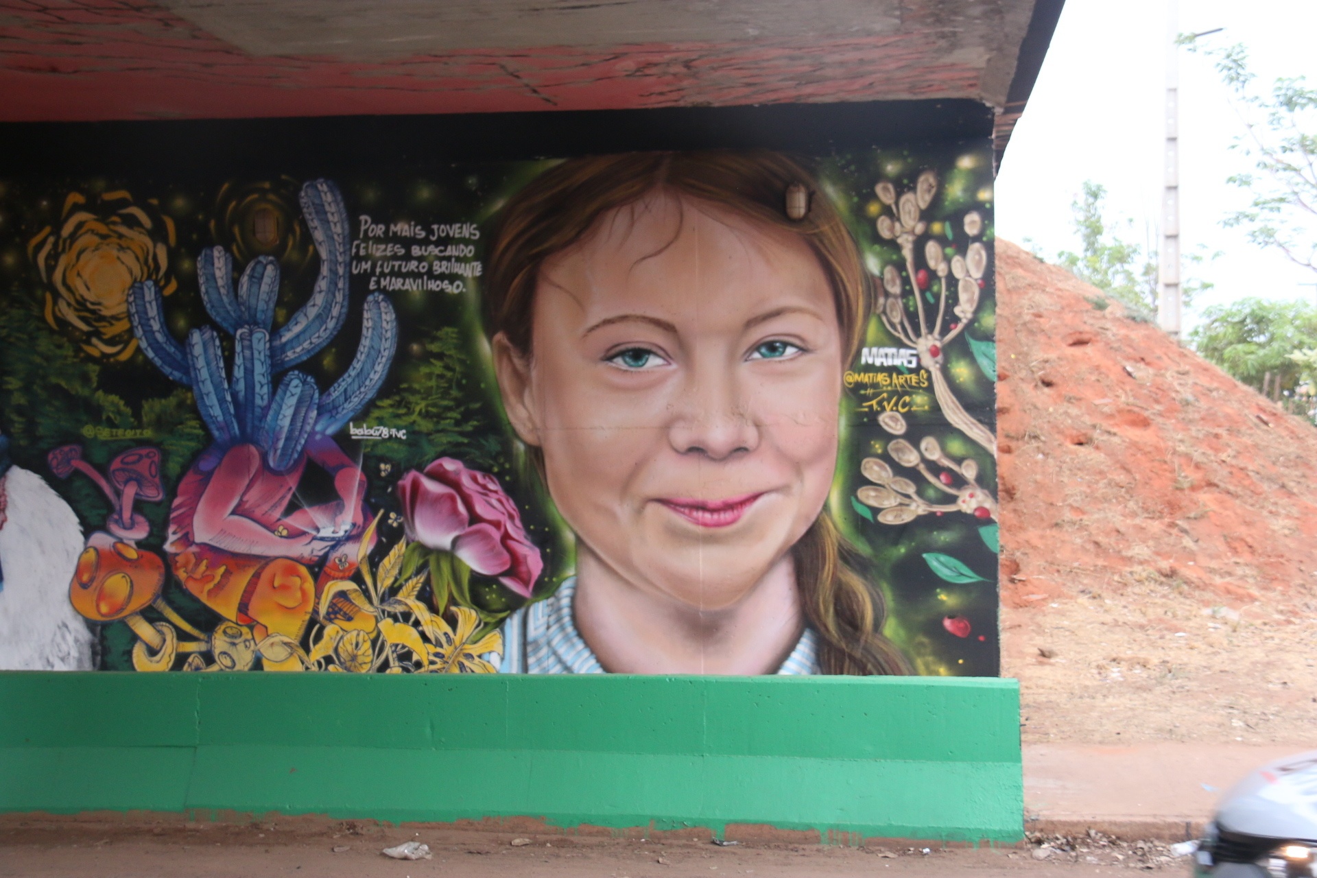 Grafite da Greta em Sinop será apagado