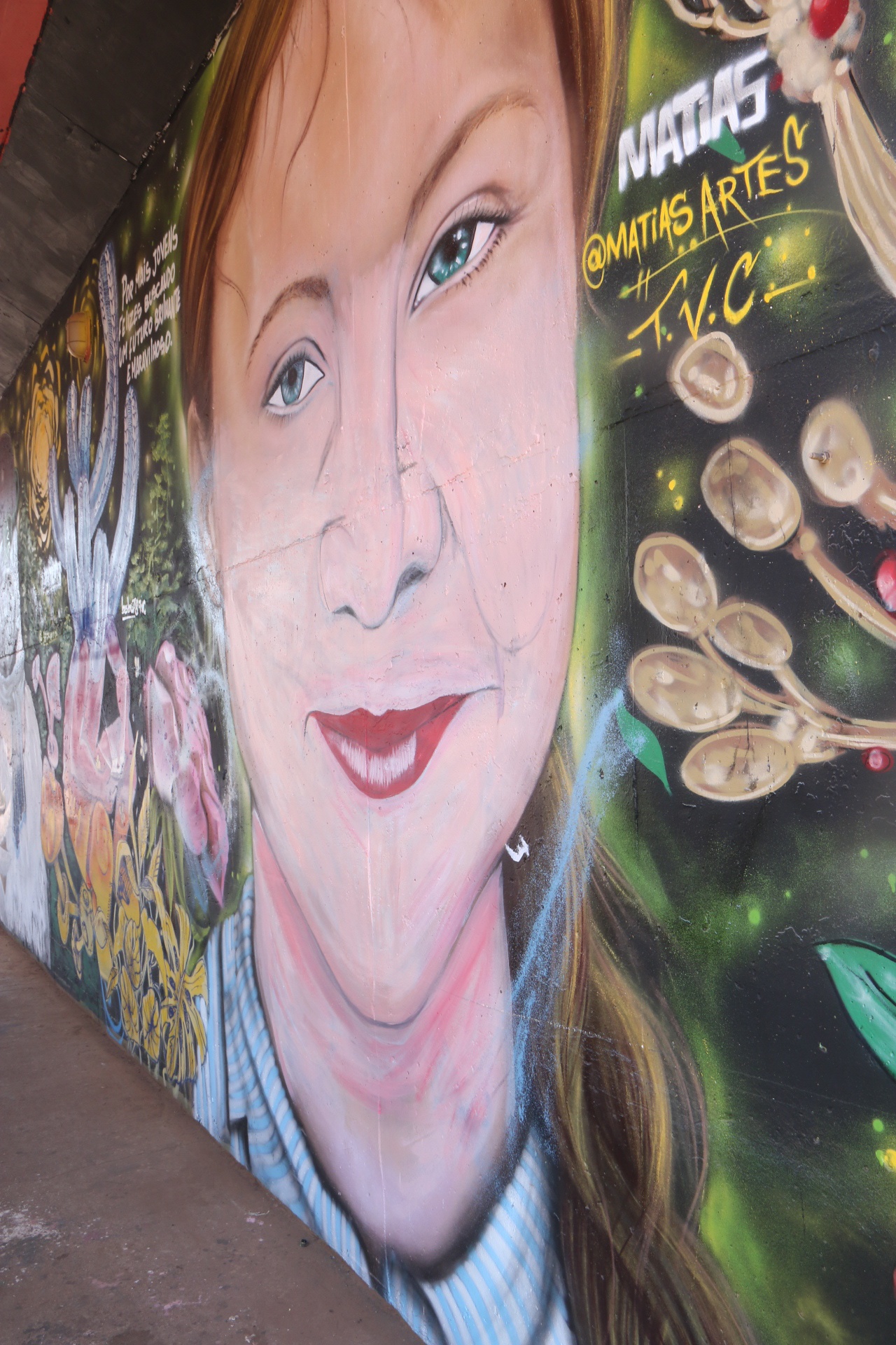 Artista restaura grafite de Greta no viaduto do São Cristóvão