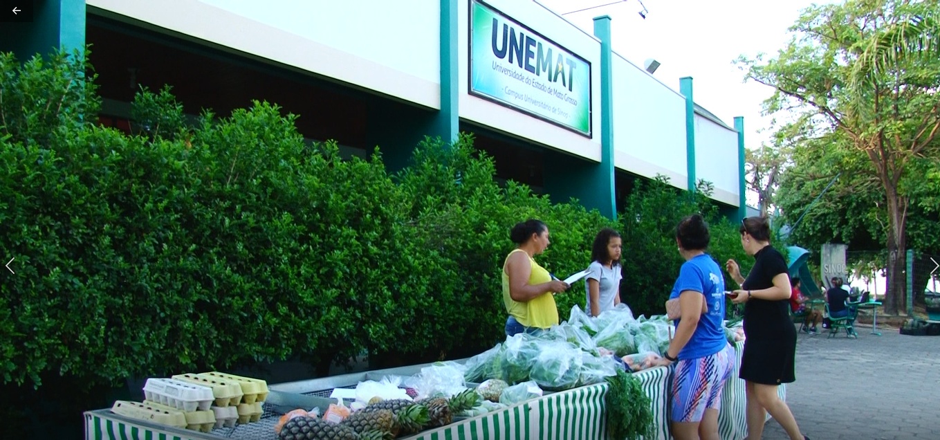 Agricultores de assentamento vendem sua produção pela internet em Sinop